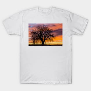 Cotton Wood Sunrise T-Shirt